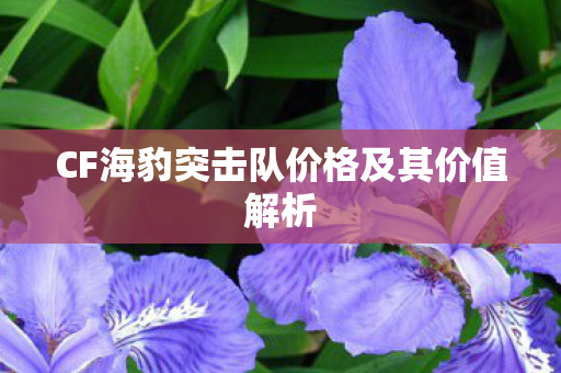 CF海豹突击队价格及其价值解析