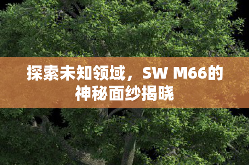 探索未知领域，SW M66的神秘面纱揭晓