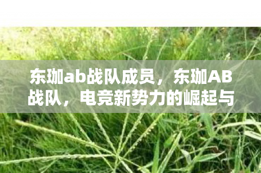 东珈ab战队成员，东珈AB战队，电竞新势力的崛起与挑战