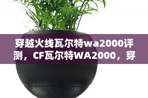 穿越火线瓦尔特wa2000评测，CF瓦尔特WA2000，穿越火线中的新星之秀