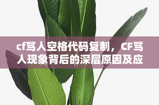 cf骂人空格代码复制，CF骂人现象背后的深层原因及应对之策