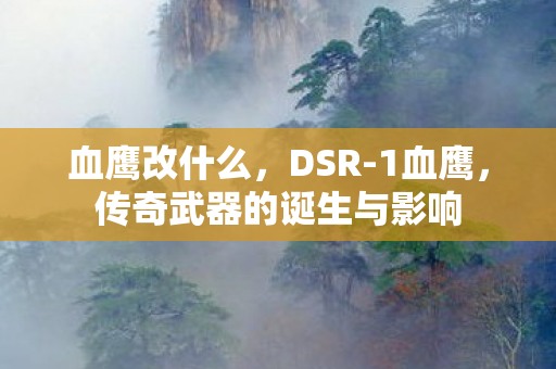 血鹰改什么，DSR-1血鹰，传奇武器的诞生与影响