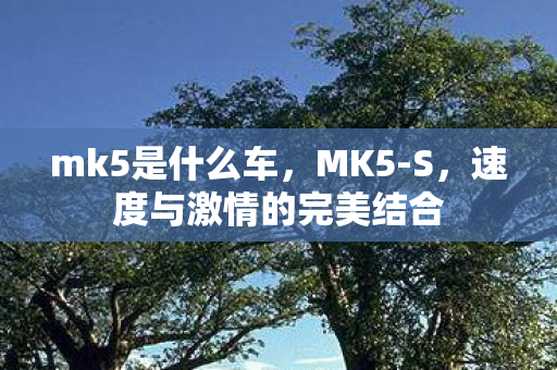 mk5是什么车，MK5-S，速度与激情的完美结合