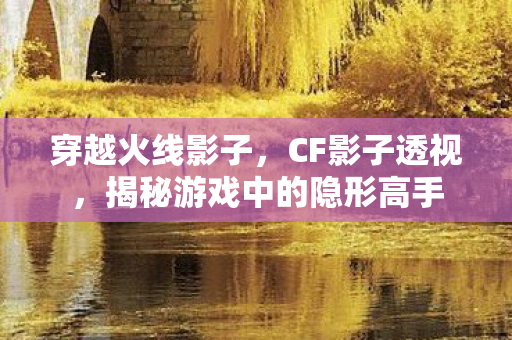 穿越火线影子，CF影子透视，揭秘游戏中的隐形高手
