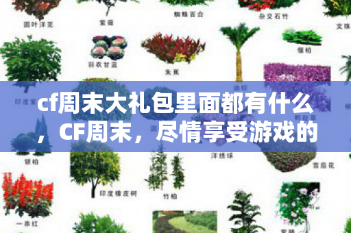 cf周末大礼包里面都有什么，CF周末，尽情享受游戏的乐趣