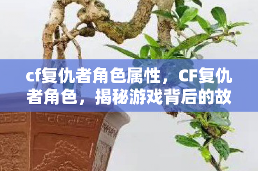 cf复仇者角色属性，CF复仇者角色，揭秘游戏背后的故事与魅力