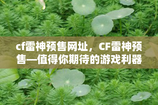 cf雷神预售网址，CF雷神预售—值得你期待的游戏利器