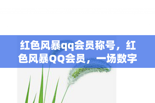 红色风暴qq会员称号，红色风暴QQ会员，一场数字时代的特权狂欢