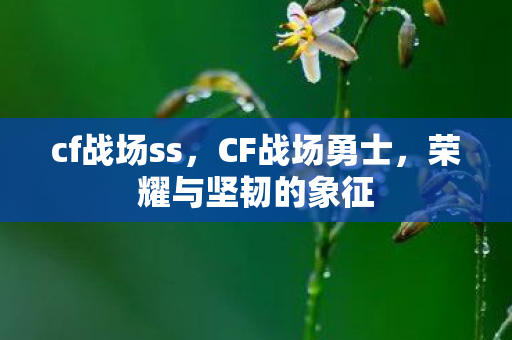 cf战场ss，CF战场勇士，荣耀与坚韧的象征