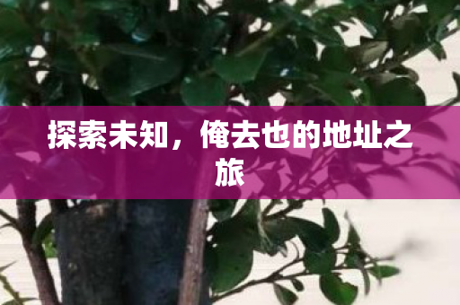 探索未知，俺去也的地址之旅