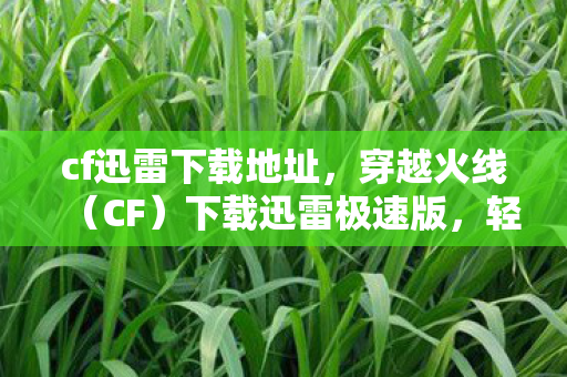 cf迅雷下载地址，穿越火线（CF）下载迅雷极速版，轻松体验游戏乐趣