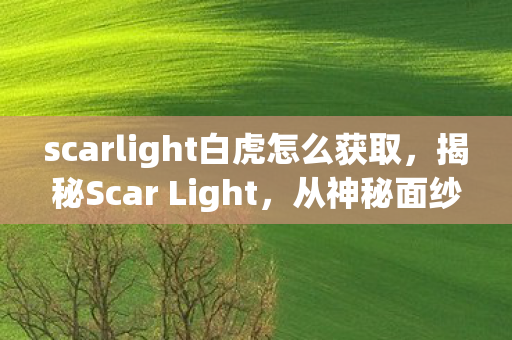 scarlight白虎怎么获取，揭秘Scar Light，从神秘面纱到实战应用的全方位解析