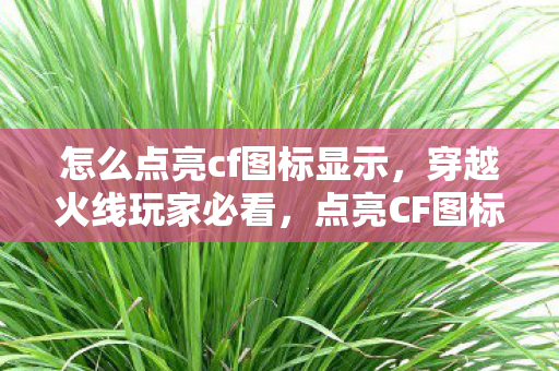 怎么点亮cf图标显示，穿越火线玩家必看，点亮CF图标全攻略