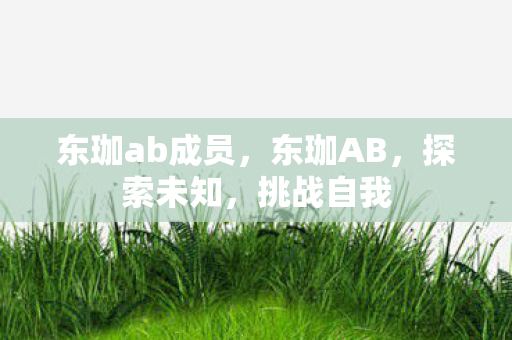 东珈ab成员，东珈AB，探索未知，挑战自我