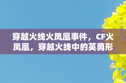 穿越火线火凤凰事件，CF火凤凰，穿越火线中的英勇形象与独特魅力