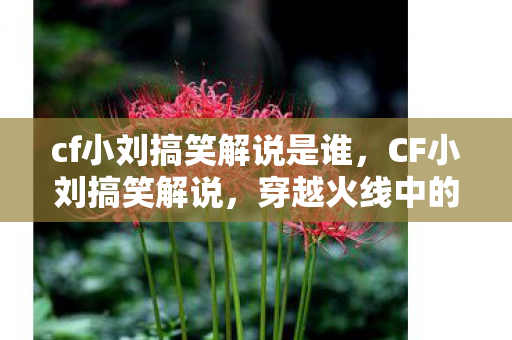 cf小刘搞笑解说是谁，CF小刘搞笑解说，穿越火线中的欢乐时刻