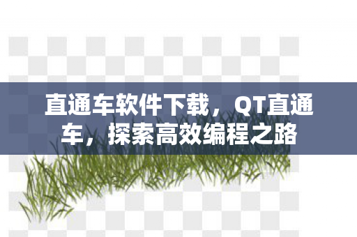 直通车软件下载，QT直通车，探索高效编程之路