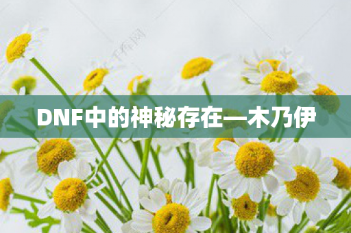DNF中的神秘存在—木乃伊