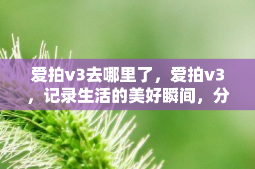 爱拍v3去哪里了，爱拍v3，记录生活的美好瞬间，分享精彩的视觉盛宴