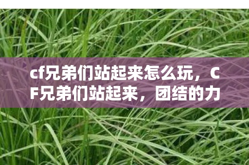 cf兄弟们站起来怎么玩，CF兄弟们站起来，团结的力量与荣耀的征程