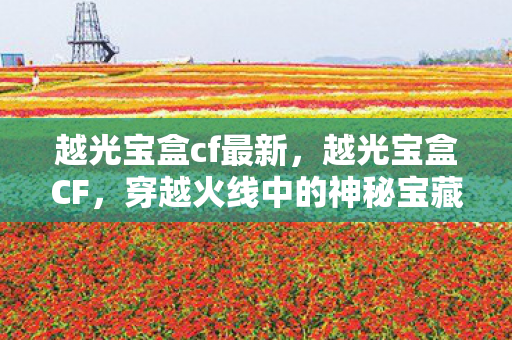 越光宝盒cf最新，越光宝盒CF，穿越火线中的神秘宝藏
