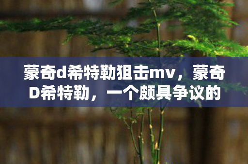 蒙奇d希特勒狙击mv，蒙奇D希特勒，一个颇具争议的历史人物