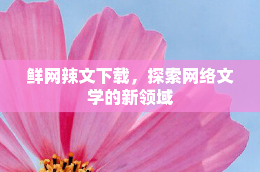 鲜网辣文下载，探索网络文学的新领域