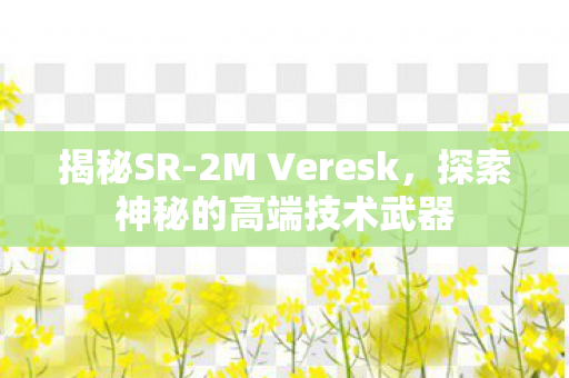 揭秘SR-2M Veresk，探索神秘的高端技术武器