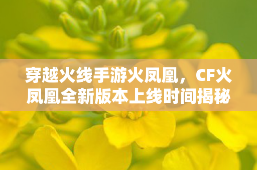 穿越火线手游火凤凰，CF火凤凰全新版本上线时间揭秘