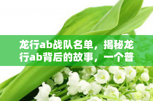 龙行ab战队名单，揭秘龙行ab背后的故事，一个普通人的不平凡历程