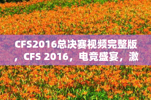 CFS2016总决赛视频完整版，CFS 2016，电竞盛宴，激情燃烧的岁月
