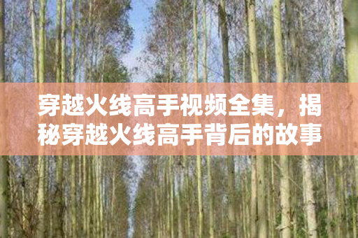 穿越火线高手视频全集，揭秘穿越火线高手背后的故事，从视频看他们的成长之路