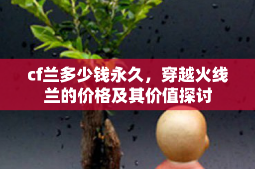 cf兰多少钱永久，穿越火线兰的价格及其价值探讨