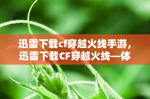 迅雷下载cf穿越火线手游，迅雷下载CF穿越火线—体验极速游戏之旅