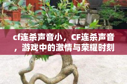 cf连杀声音小，CF连杀声音，游戏中的激情与荣耀时刻