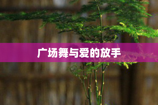 广场舞与爱的放手