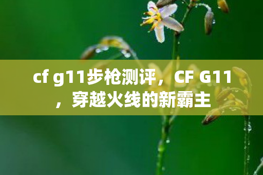cf g11步枪测评，CF G11，穿越火线的新霸主