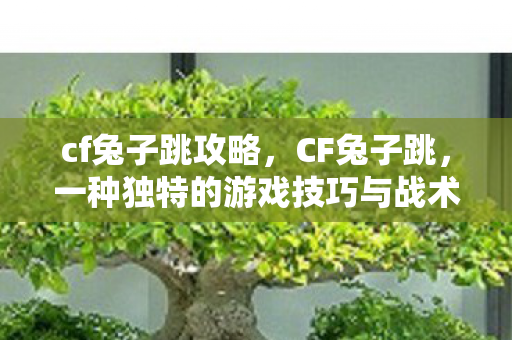 cf兔子跳攻略，CF兔子跳，一种独特的游戏技巧与战术分析