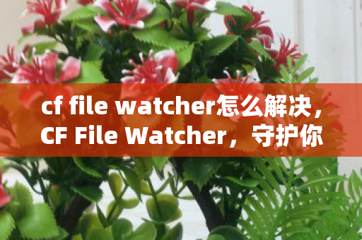 cf file watcher怎么解决，CF File Watcher，守护你的电脑文件安全的秘密武器