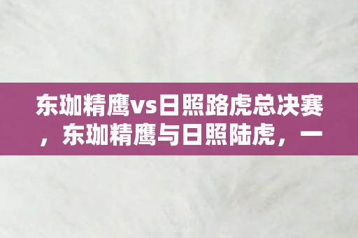 东珈精鹰vs日照路虎总决赛，东珈精鹰与日照陆虎，一场精彩绝伦的对决