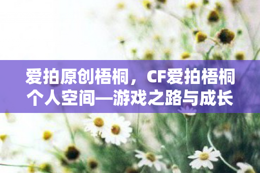 爱拍原创梧桐，CF爱拍梧桐个人空间—游戏之路与成长印记