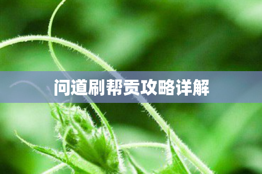 问道刷帮贡攻略详解