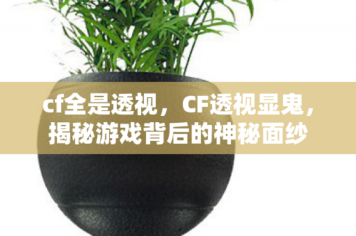 cf全是透视，CF透视显鬼，揭秘游戏背后的神秘面纱