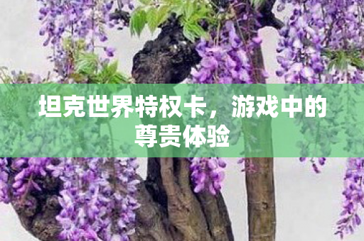 坦克世界特权卡，游戏中的尊贵体验