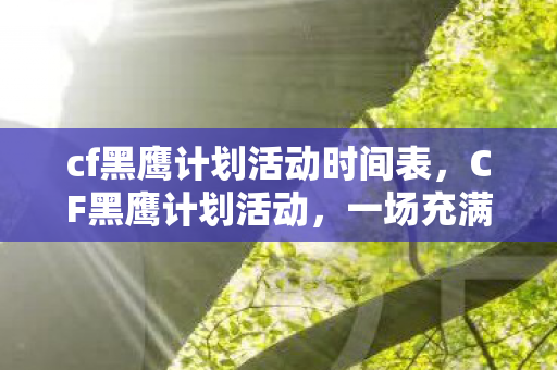 cf黑鹰计划活动时间表，CF黑鹰计划活动，一场充满挑战与激情的盛宴