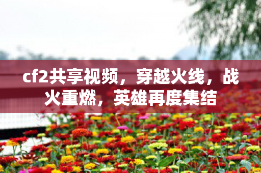 cf2共享视频，穿越火线，战火重燃，英雄再度集结