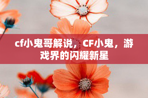 cf小鬼哥解说，CF小鬼，游戏界的闪耀新星