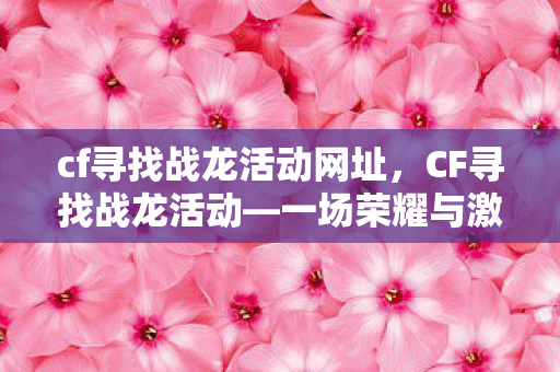cf寻找战龙活动网址，CF寻找战龙活动—一场荣耀与激情的集结