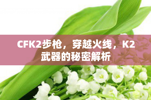 CFK2步枪，穿越火线，K2武器的秘密解析