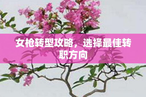 女枪转型攻略，选择最佳转职方向